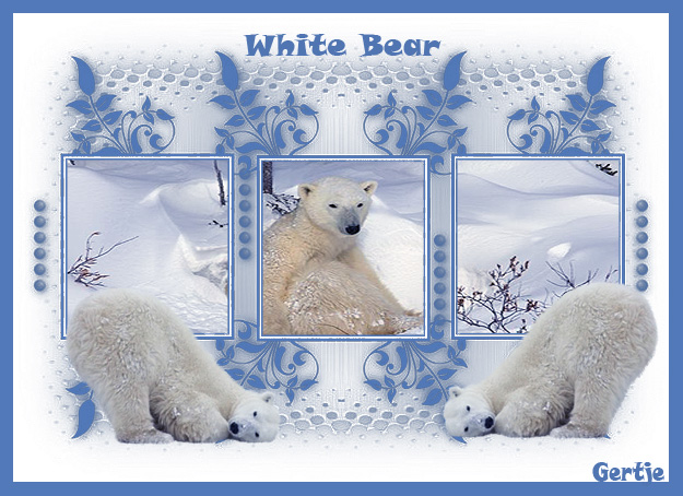 white bear
